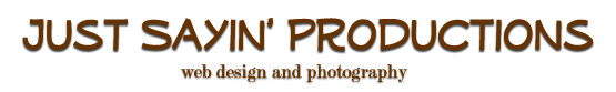 justsayinproductions